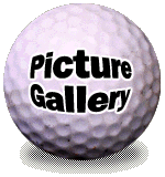 Picture Gallery